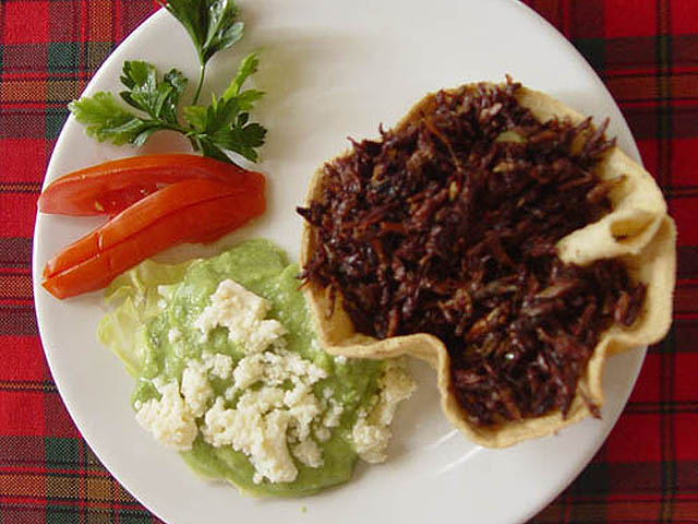 chapulines-con-guacamole
