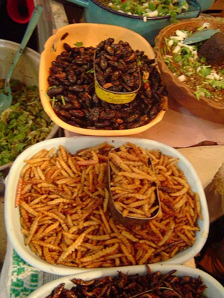 450px-Escamoles,_chahuis,_chinicuiles_y_chapulines._Mercado_de_Tula