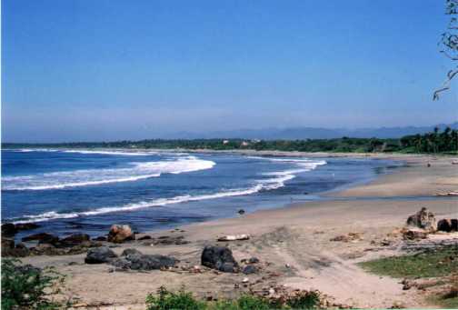 troncones
