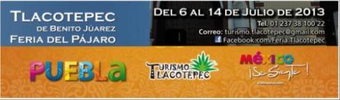 bannerferiapajaro.305120219