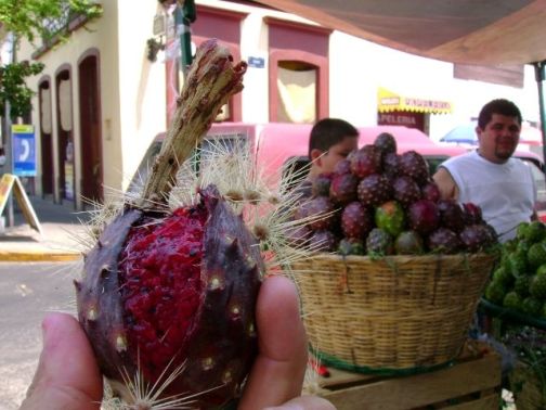 pitaya