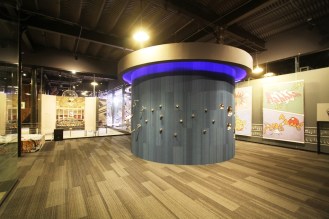 casa musica 3