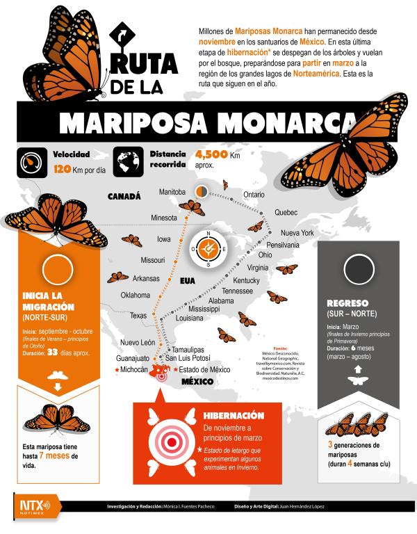 Ruta de la Mariposa Monarca