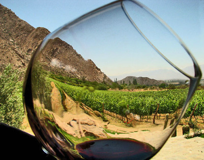 Viñedos