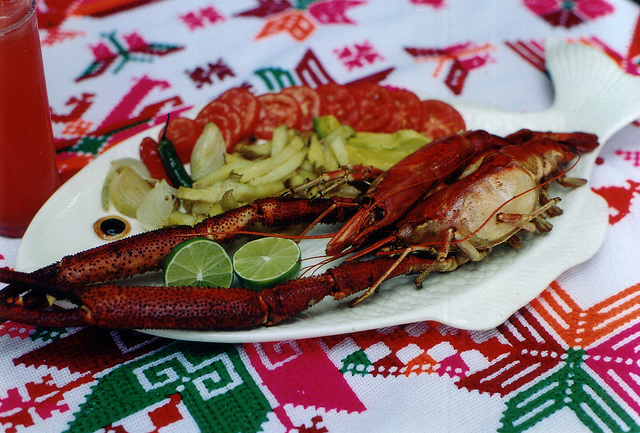 acamayas puebla