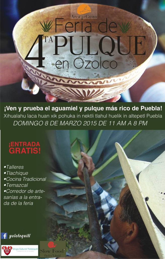 feria del pulque ozolco