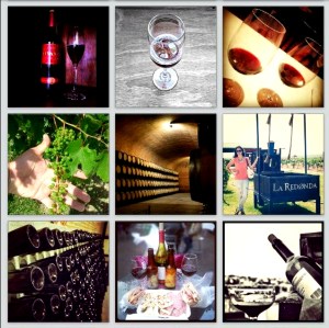 feria queso y vino 1