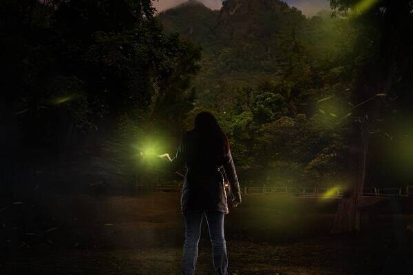 Temporada de luciérnagas en Puebla: bichos iluminan Zacatlán, Tlatlauquitepec y Tlahuapan