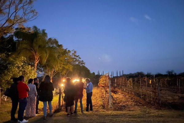 La Malanca: naturaleza, vino y hospitalidad en San Luis&nbsp;Potosí