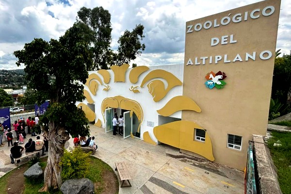 Este verano visita Zoológico del Altiplano y conoce 500 ejemplares de fauna&nbsp;silvestre
