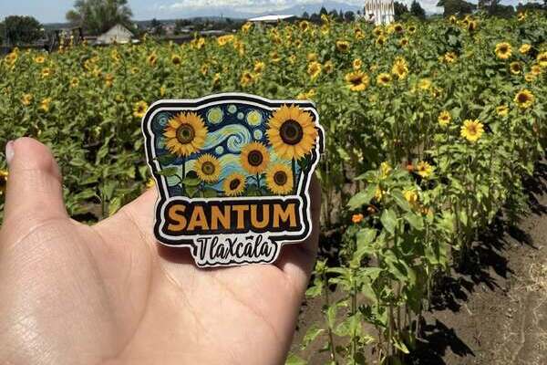 Para la Foto | Santum, el santuario de los girasoles en Tetla,&nbsp;Tlaxcala